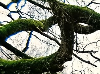 Ynysangharad Park Pontypridd