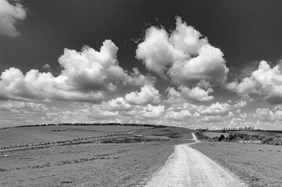 The Way Ahead