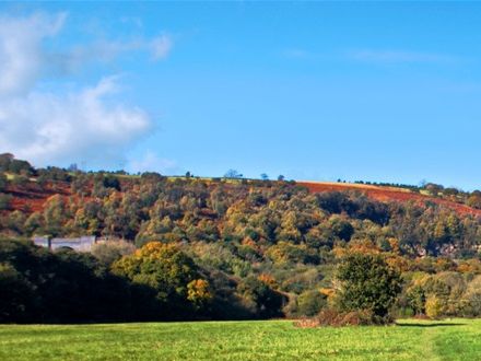 Autumn Colours