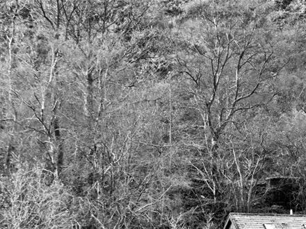 Lone Building (Click image for full view)