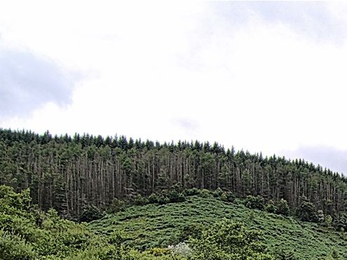 Clydach Vale