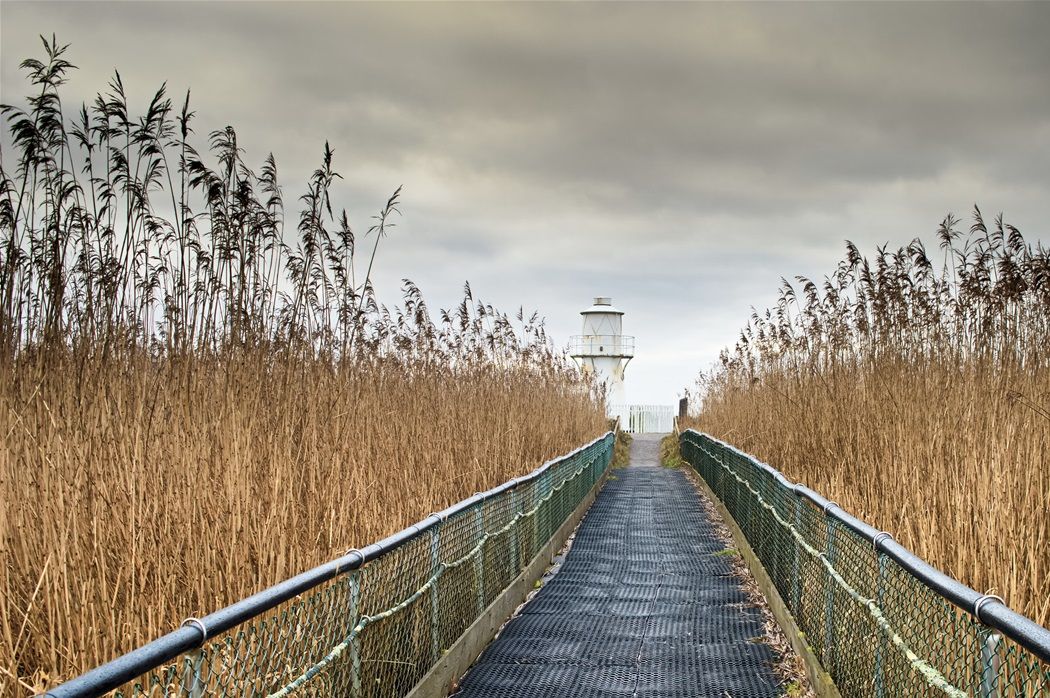 Newport Wetlands