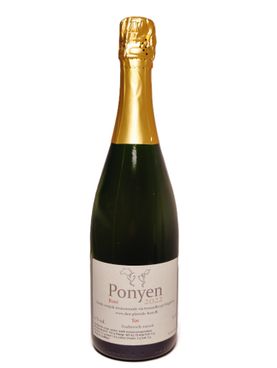 ponyen