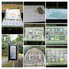 DSCN7681b-COLLAGE