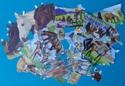 hest-006
