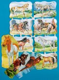 hest-007