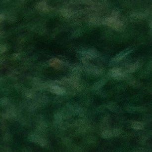 unsplash_28TO1ezMNnM