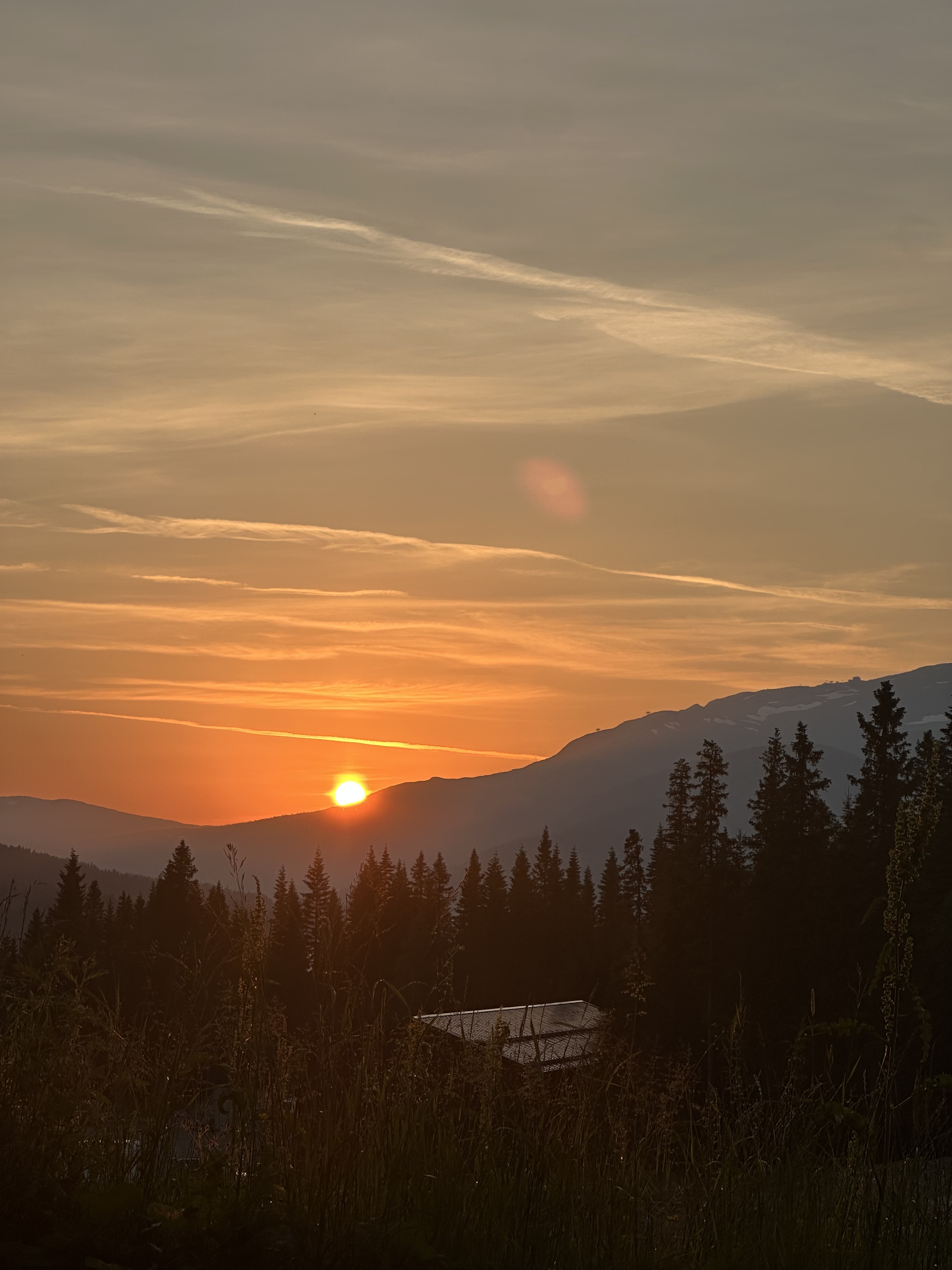 Foto: Linus Palmqvist