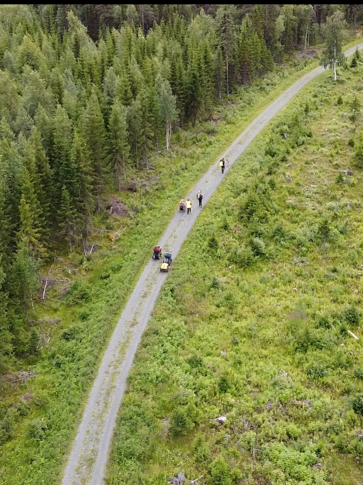 Foto: Linus Palmqvist