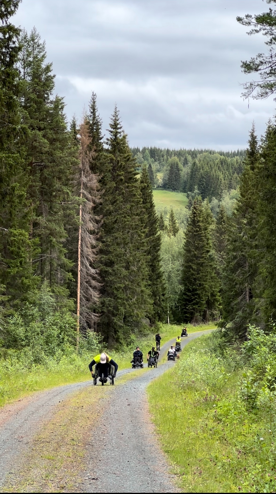 Foto: Linus Palmqvist