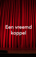 Een vreemd koppel
