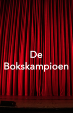 De bokskampioen