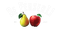 de perserij logo