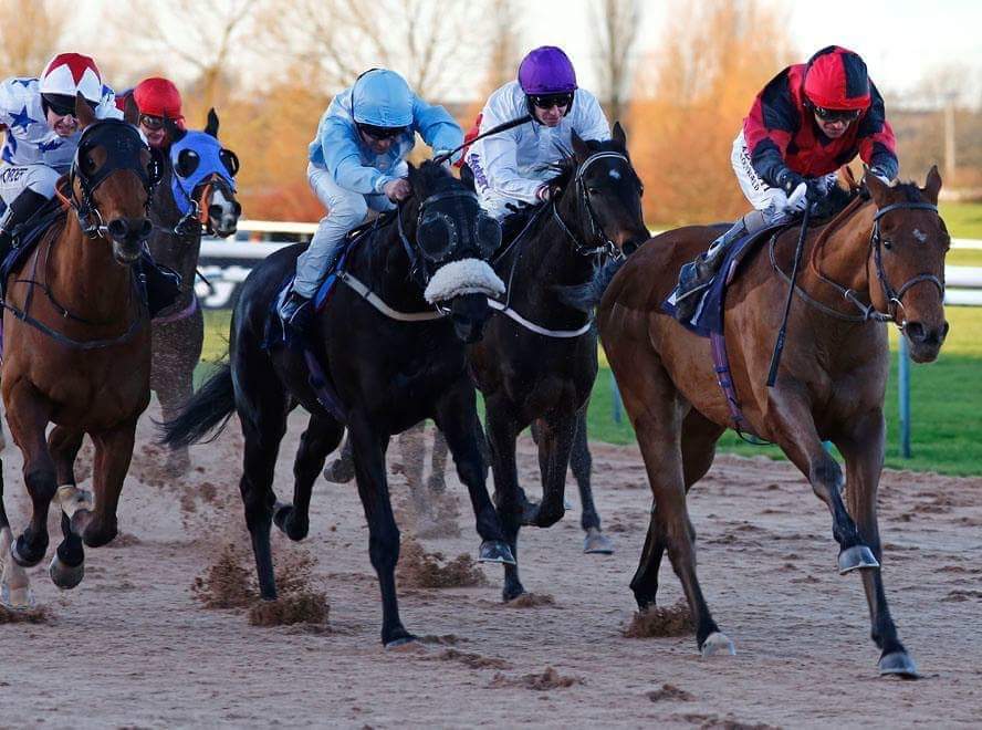 OWNERSHIP BENEFITS | Derbyshire Racing