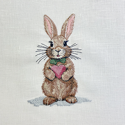 Hase 