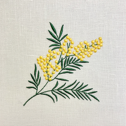 Mimose