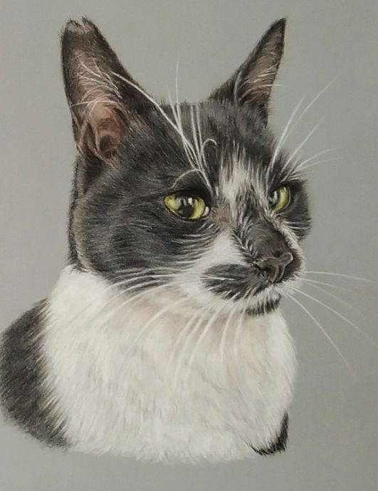 Simon 