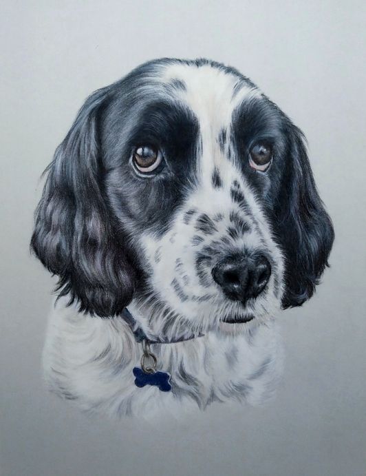 Alfie