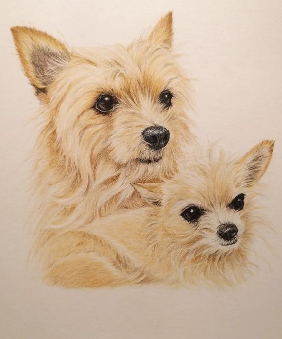 Mollie and Tink
