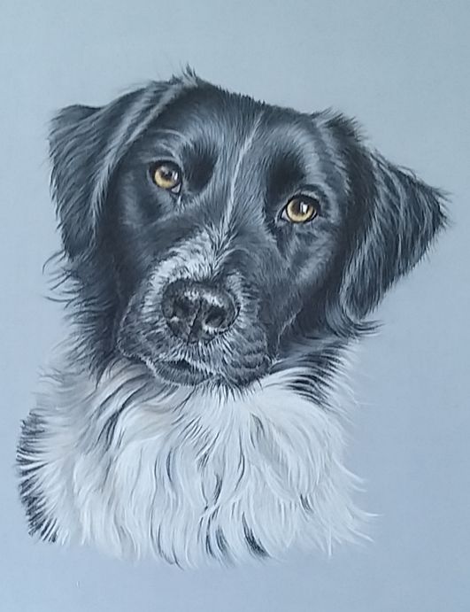 benson