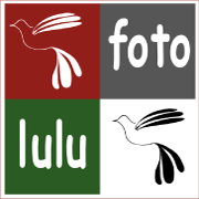 www.fotolulu.de
