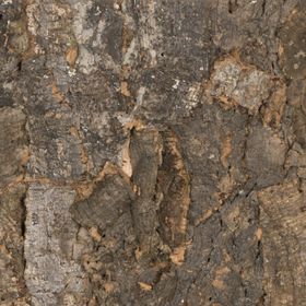 RUSTICORK Bark