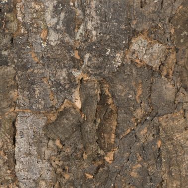 RustiCork - BARK
