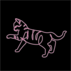 neon cat