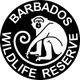 Non-Profit: Barbados Wildlife Reserve