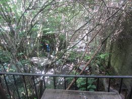 IMG_2158