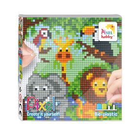 44001_Pixel-set_2022
