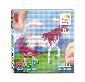 44012_Pixel-set_2022