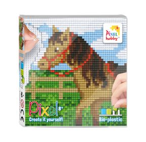 44016_Pixel-set_2022