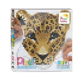 44020_Pixel-set_2022