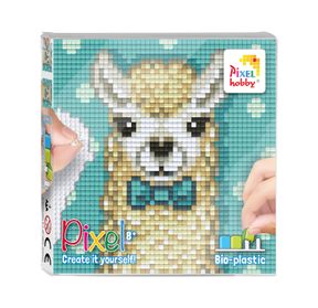44021_Pixel-set_2022