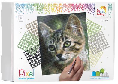 90034_Kitten_4BP_EN