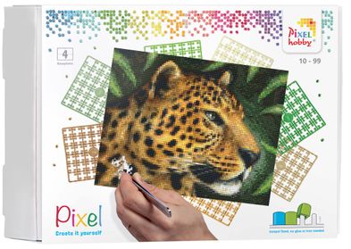 90042_Leopard_EN