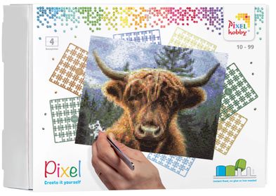 90089_Scottish-highlander_4BP_EN