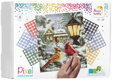 90114_Birds-winterlandscape_9BP_EN