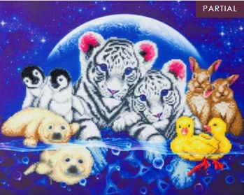 CAK-A127L ... 40x50cm