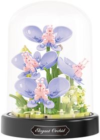 balody-orchids-stuk