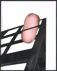 'To Titillate Baloney' -2019-