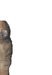 'To Titillate a Male Nipple'-2020-