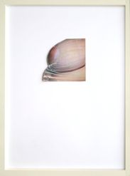 'To Titillate roundings' -2019-
