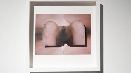 'Titillated Velvet'-2023-