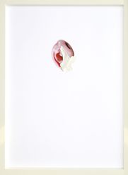 'To Titillate a Hole' -2019-
