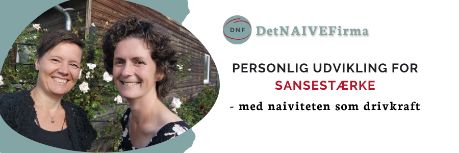 DetNAIVEFirma v. Mai Kristensen og Trine Henriksen