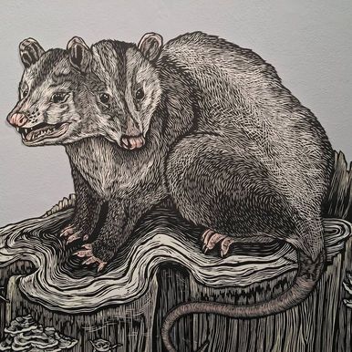 possum+copy(1)
