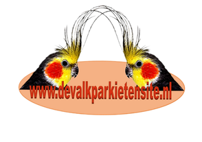 www.devalkparkietensite.nl