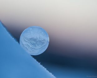 Frossen såpeboble